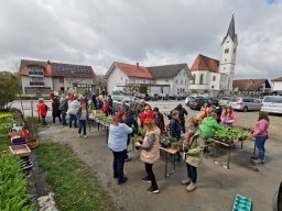 Unser Pflanzenflohmarkt