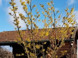 phoca_thumb_m_img-20240125-wa0005